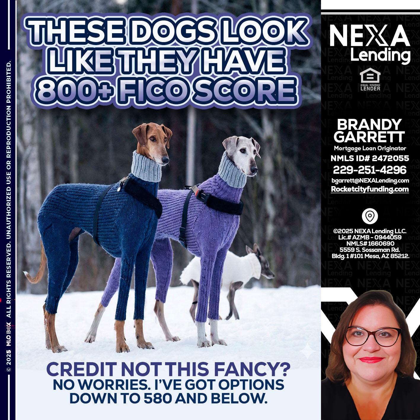 THESE DOGS LOOK - Brandy Garrett -Mortgage Loan Originator